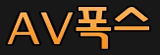 AV폭스