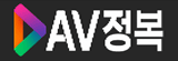 AV정복